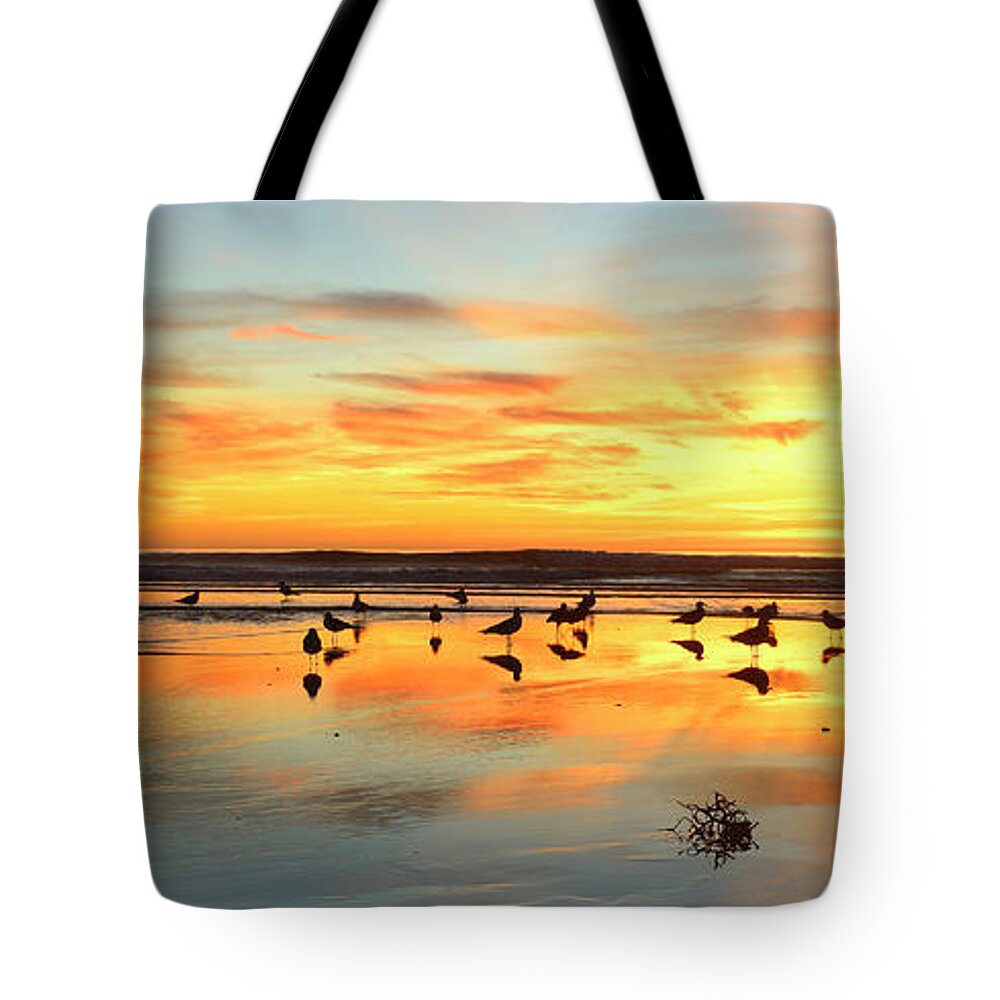 Landscapes Tote Bag featuring the photograph Cloudburst Cardiff By The Sea by John F Tsumas