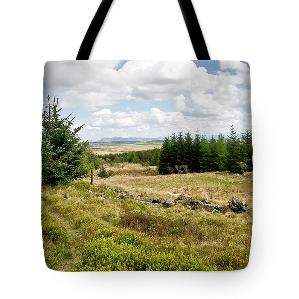 Forest Tote Bag featuring the photograph Light day in the forest near Wilsontown by Elena Perelman