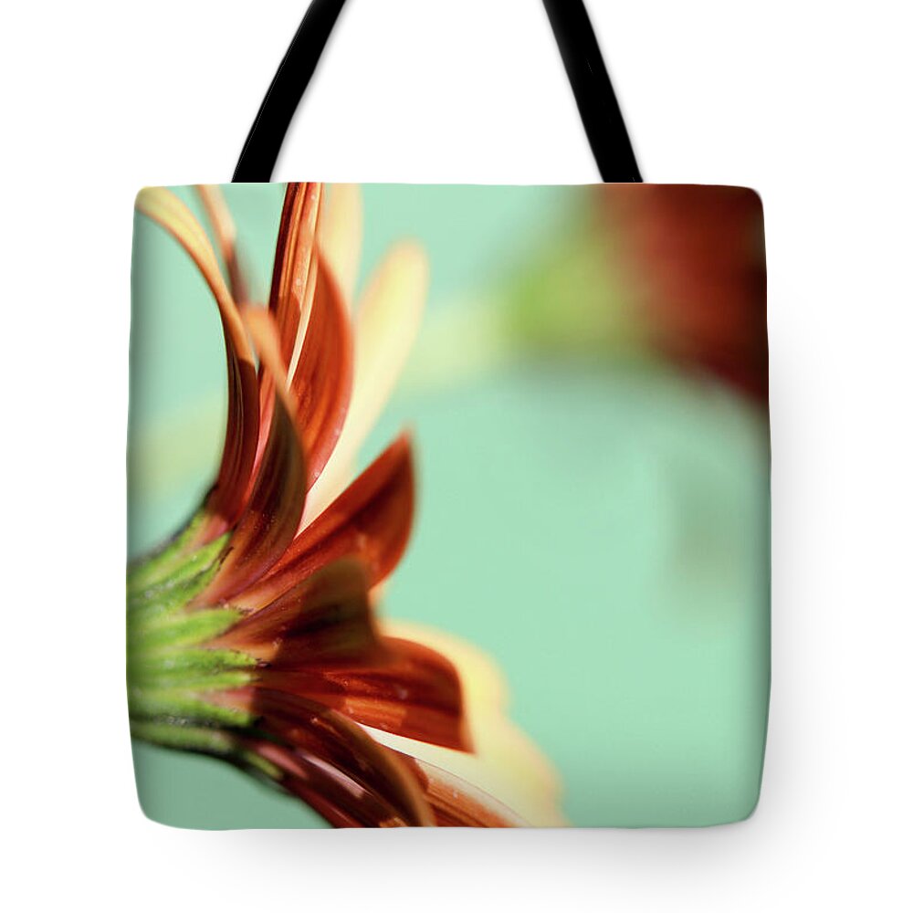 Flower Tote Bag featuring the photograph Basking in the Sun by Mary Anne Delgado
