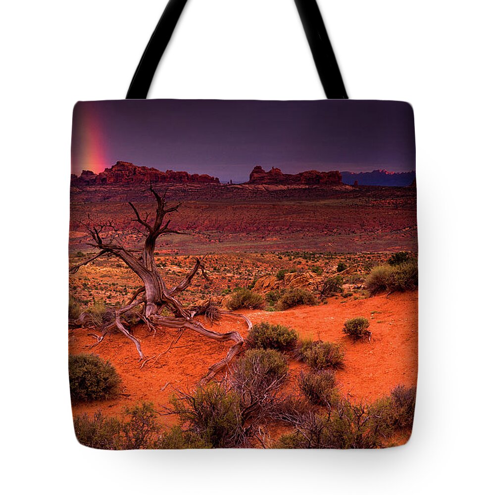 Arches National Park Tote Bag featuring the photograph Light Of The Desert by John De Bord