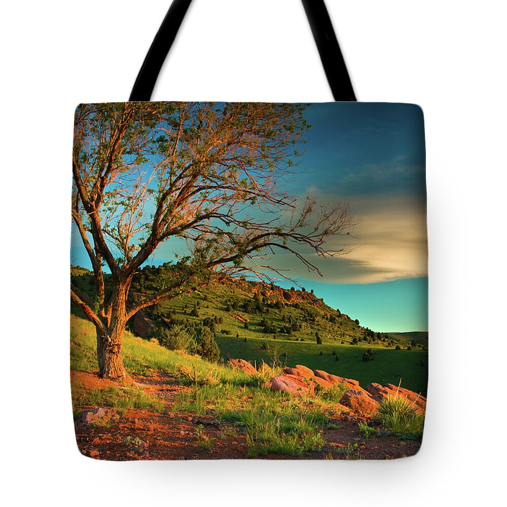 Red Rocks Park Tote Bag featuring the photograph Light Of The Hillside by John De Bord