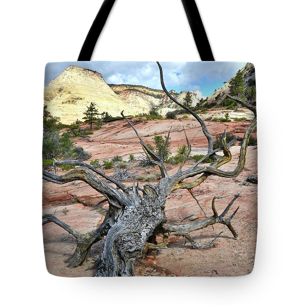 Zion National Park Tote Bag featuring the photograph Light Over Yonder by Ray Mathis