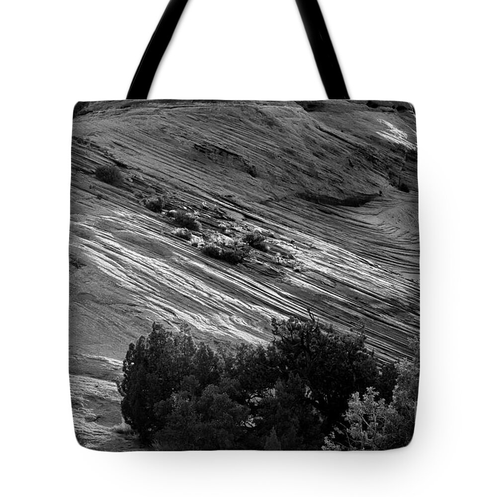 Utah Tote Bag featuring the photograph Light Painting by Jim Garrison