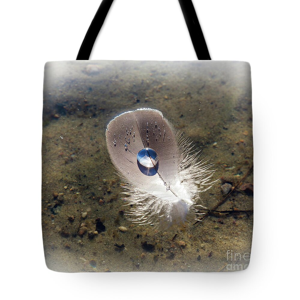 Lighten Up Tote Bag featuring the photograph Lighten Up by Michelle Constantine