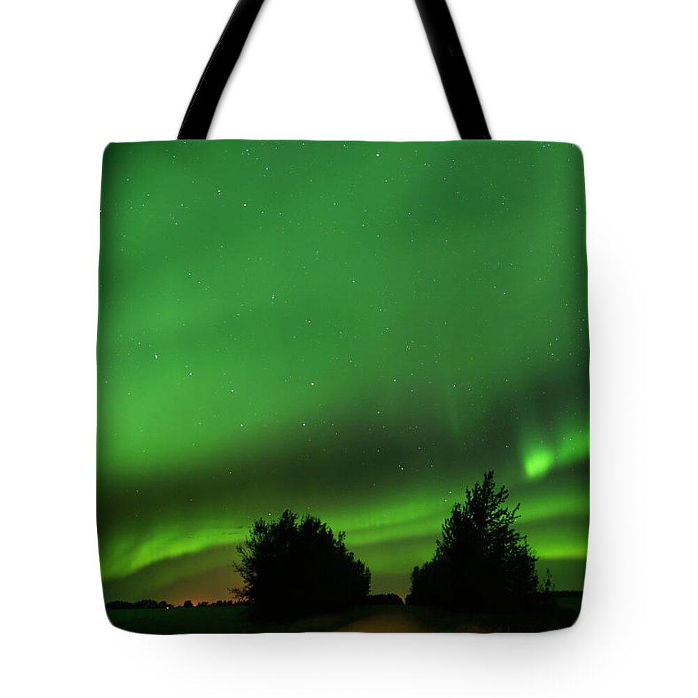Aurora Borealis Tote Bag featuring the photograph Lighting the Way Home by Dan Jurak