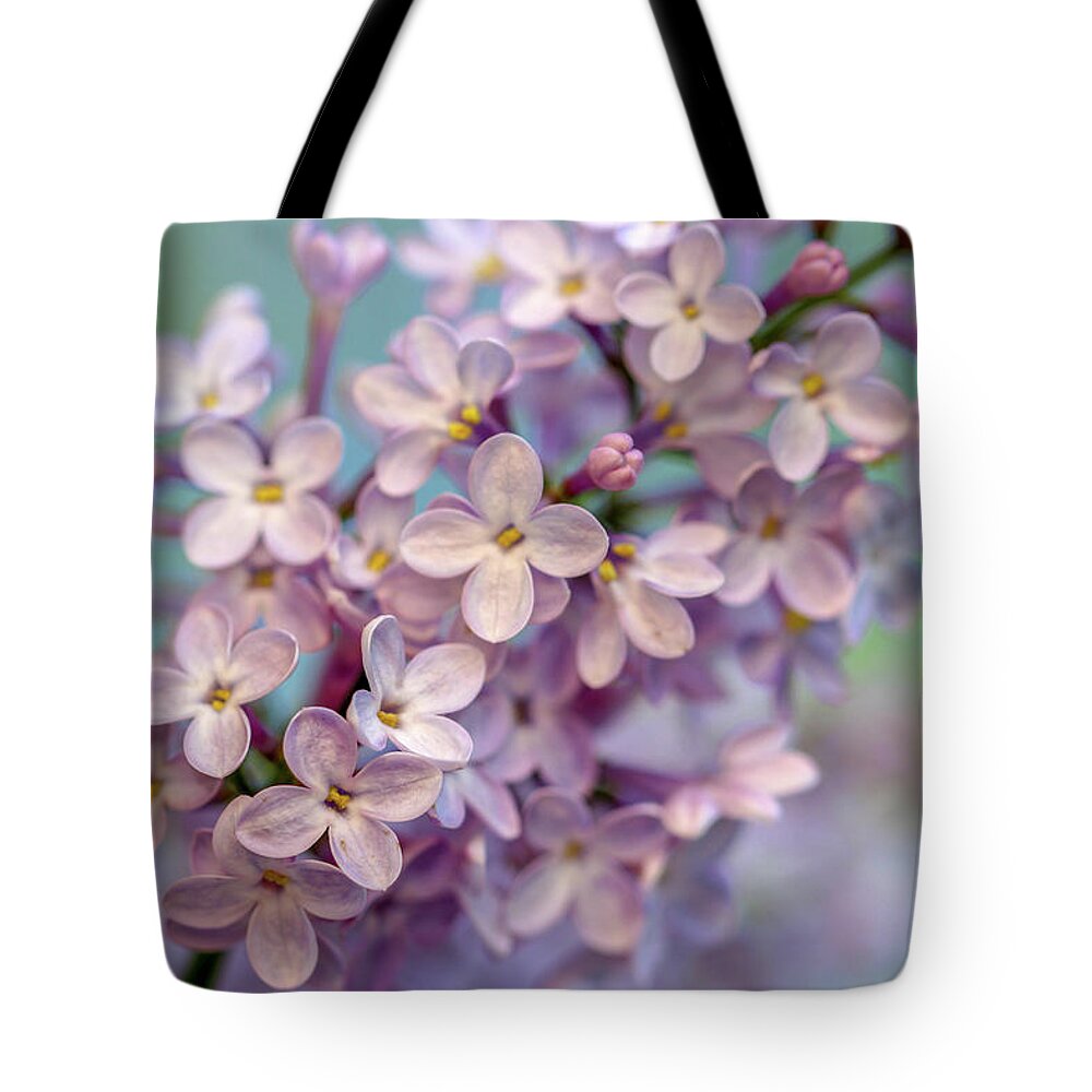 Lilac Tote Bag featuring the photograph Lilac Blossom II by Mary Anne Delgado