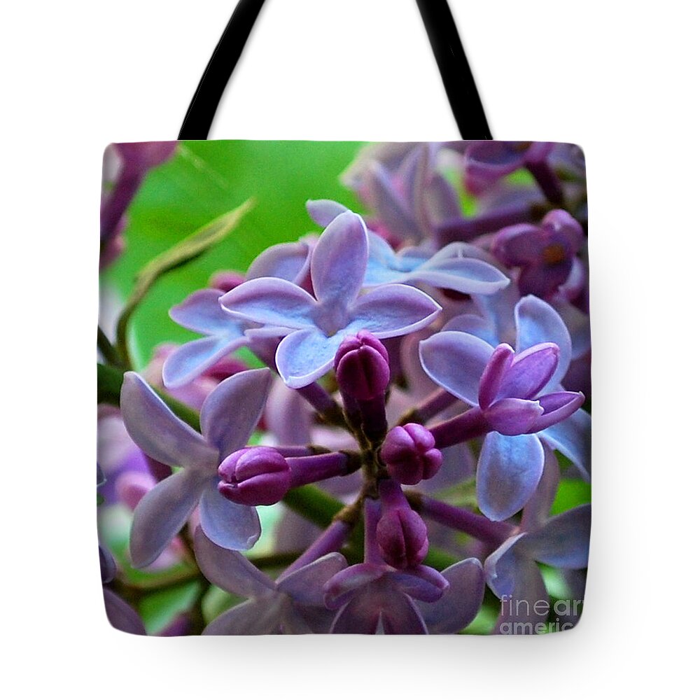 Lilac Tote Bag featuring the photograph Lilac Blossoms and Buds by Nancy Mueller