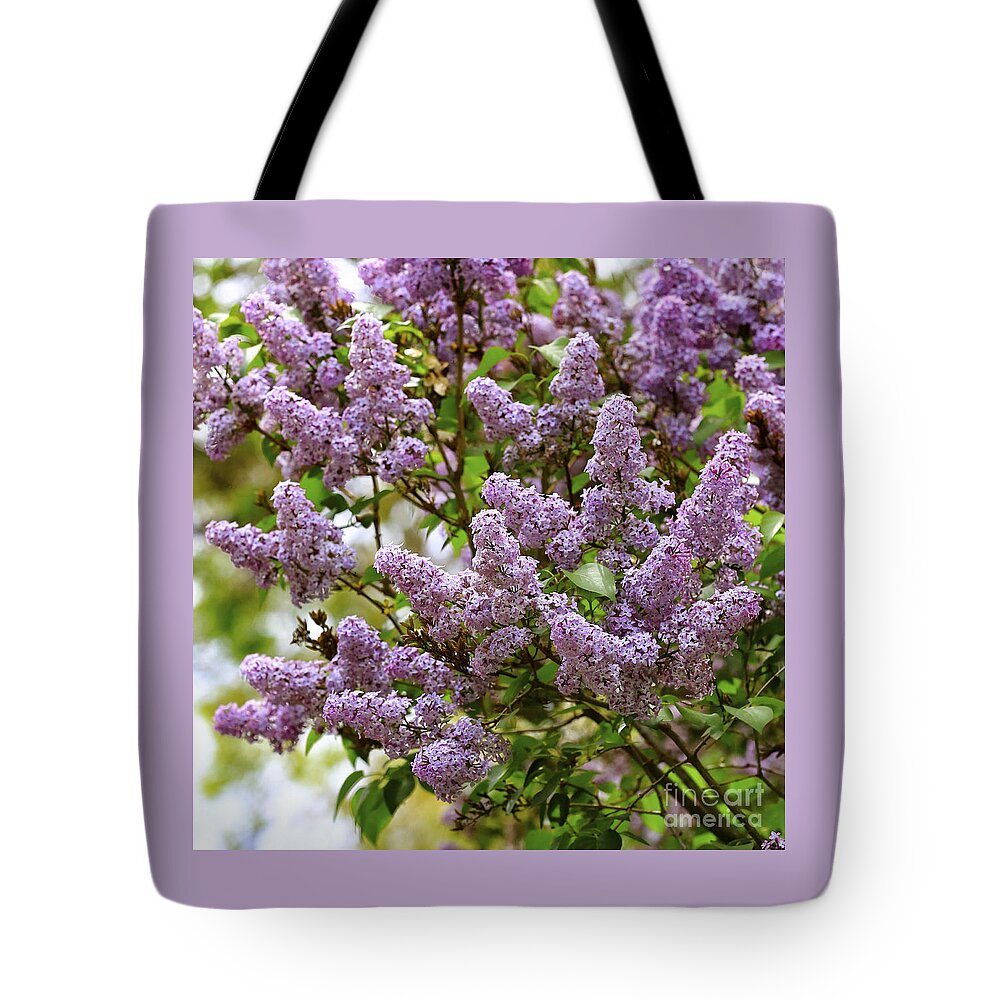 Spring Tote Bag featuring the photograph Lilac Love by Carol Groenen