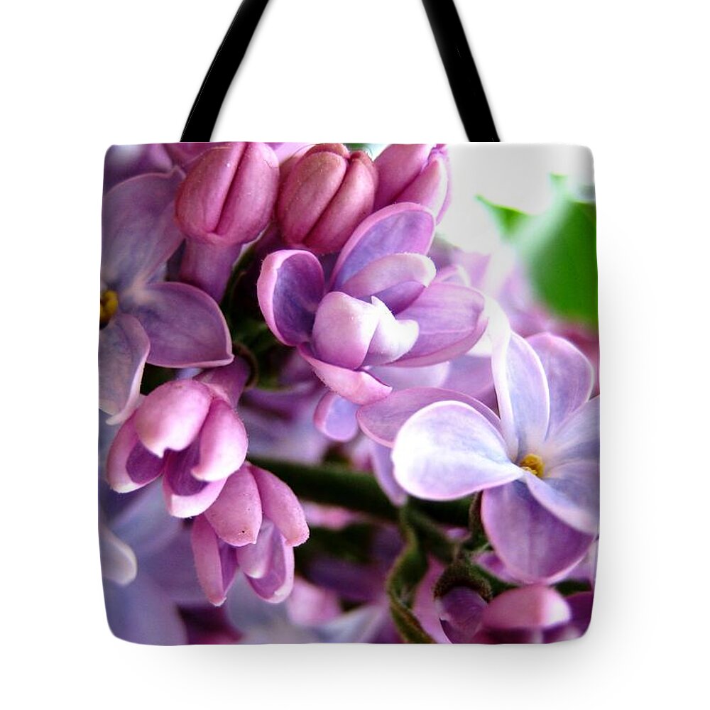 Lilacs Tote Bag featuring the photograph Lilacs by Cindy Schneider