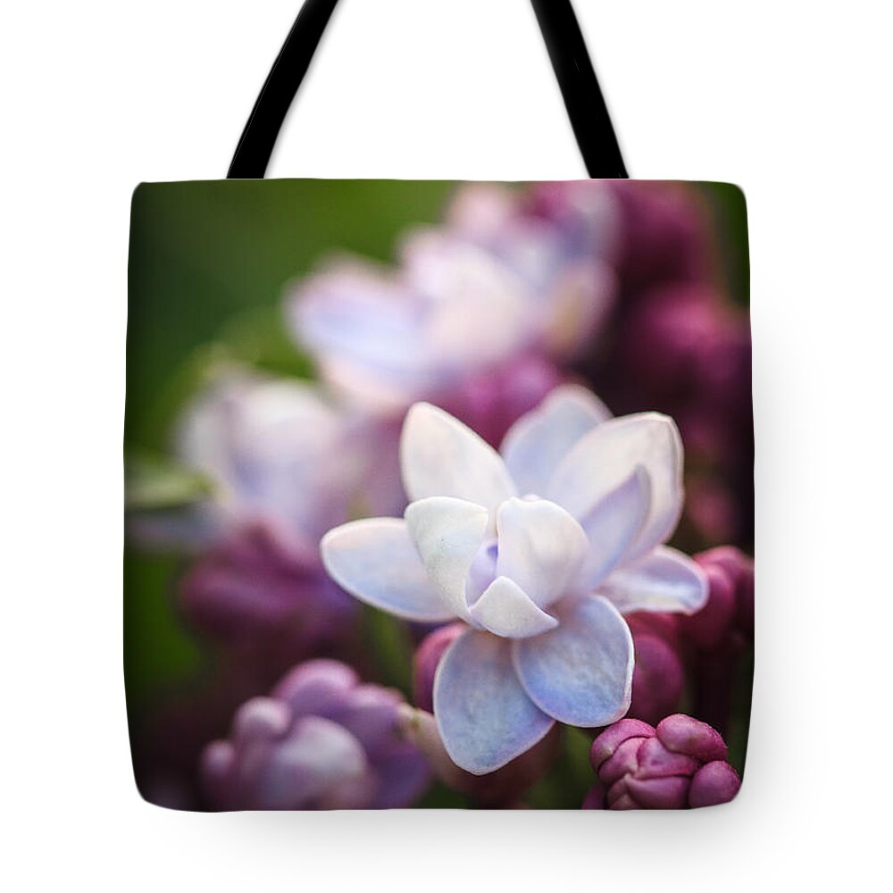 Illinois Tote Bag featuring the photograph Lilacs of spring Macro by Joni Eskridge