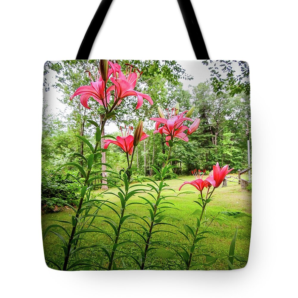 Lillies Tote Bag featuring the photograph Lilies in the pink by Mim White