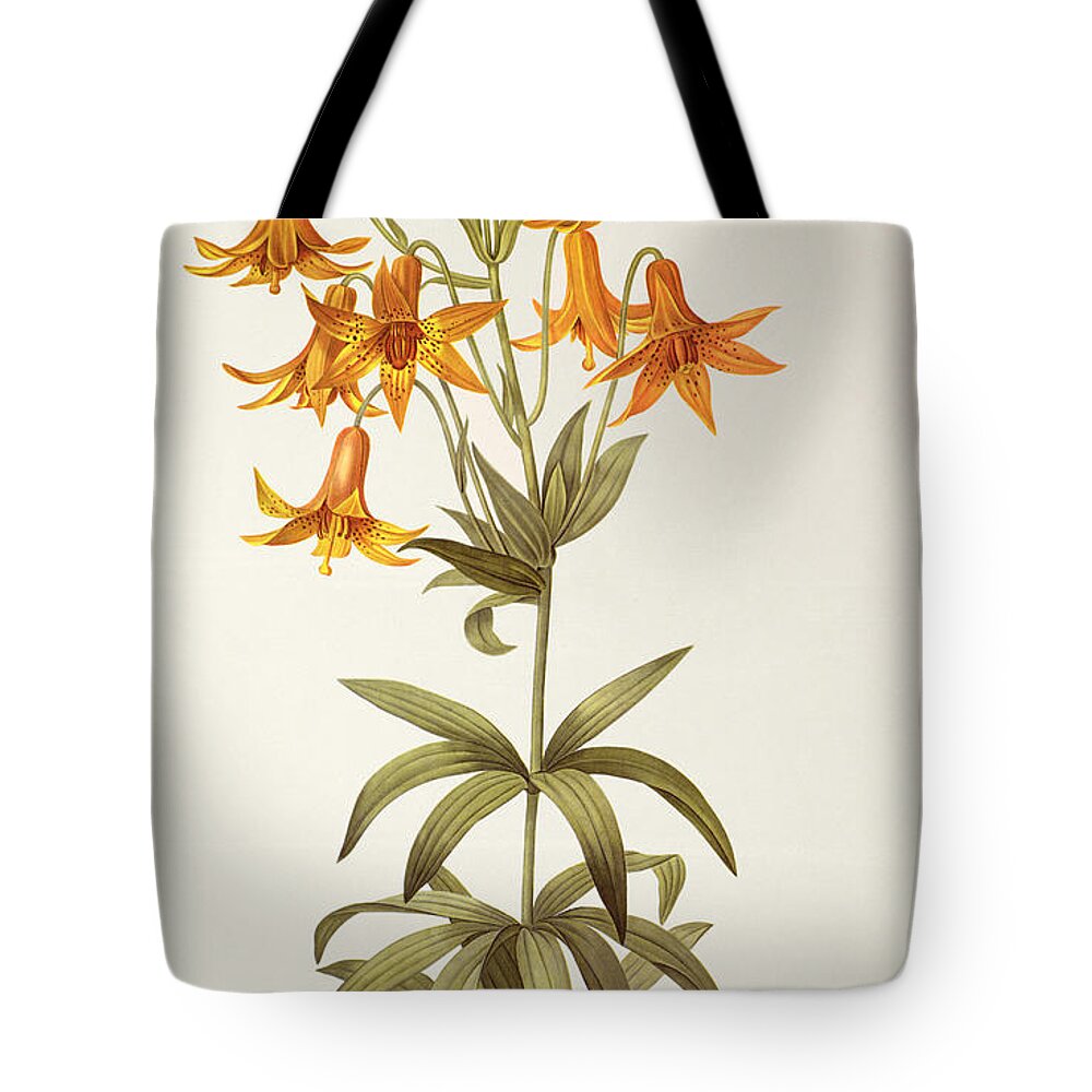 Plant Tote Bag featuring the painting Lilium Penduliflorum by Pierre Joseph Redoute