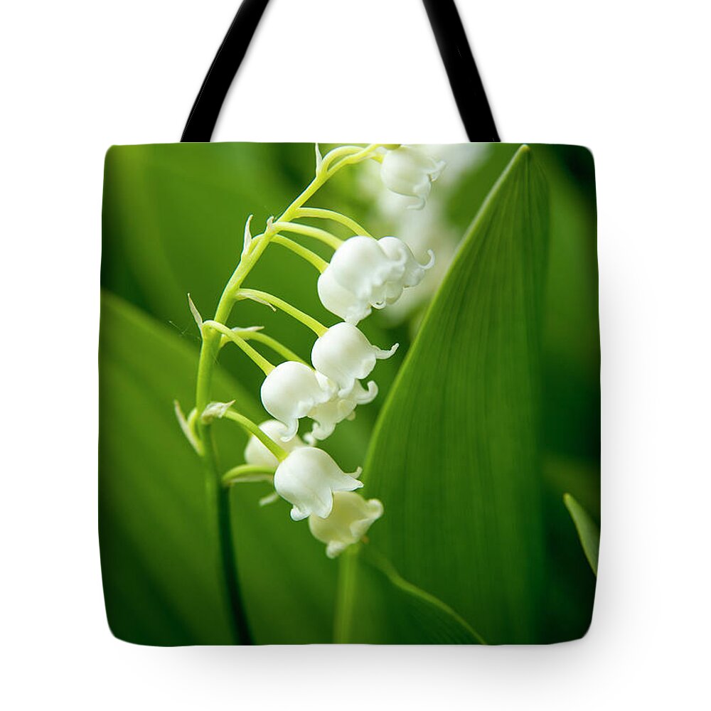 Maine Tote Bag featuring the photograph Lilly of the Valley Bells by Alana Ranney