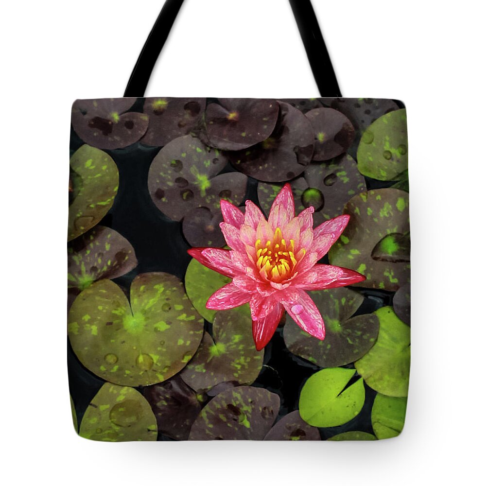 Flowers Tote Bag featuring the photograph Lilly Pad, Red Lilly by Toma Caul