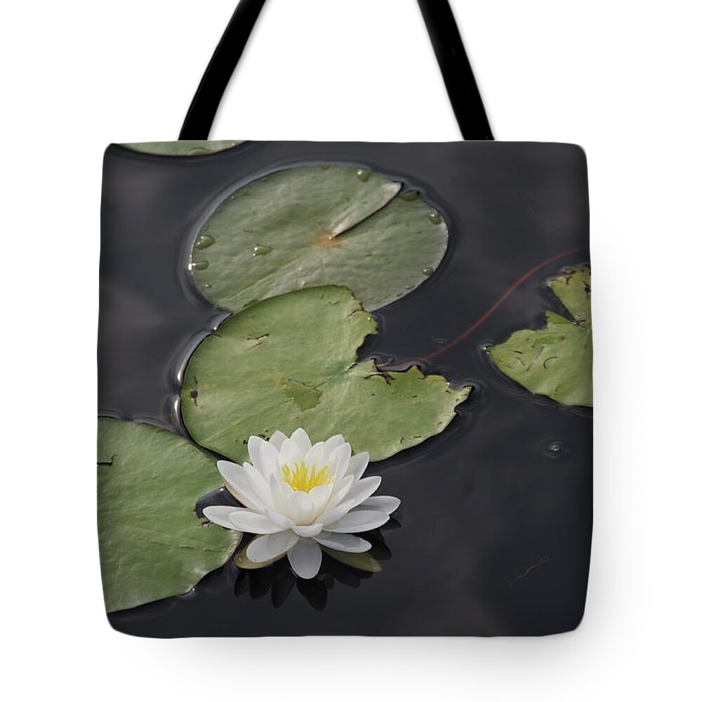 Ancient Spiritual Symbol Tote Bag featuring the photograph Buddhist symbol by Adele Aron Greenspun