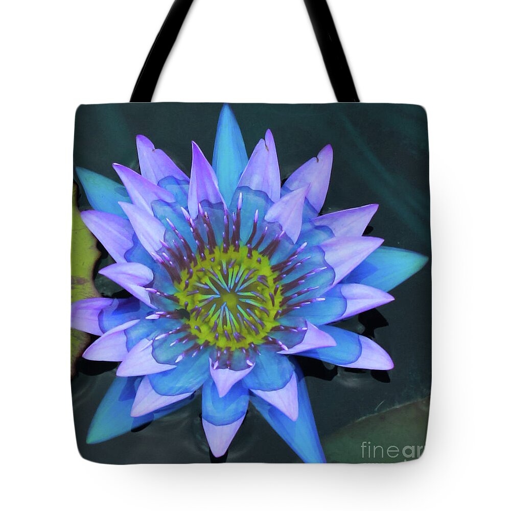 Water Tote Bag featuring the photograph Lilly Watered Down by Toma Caul