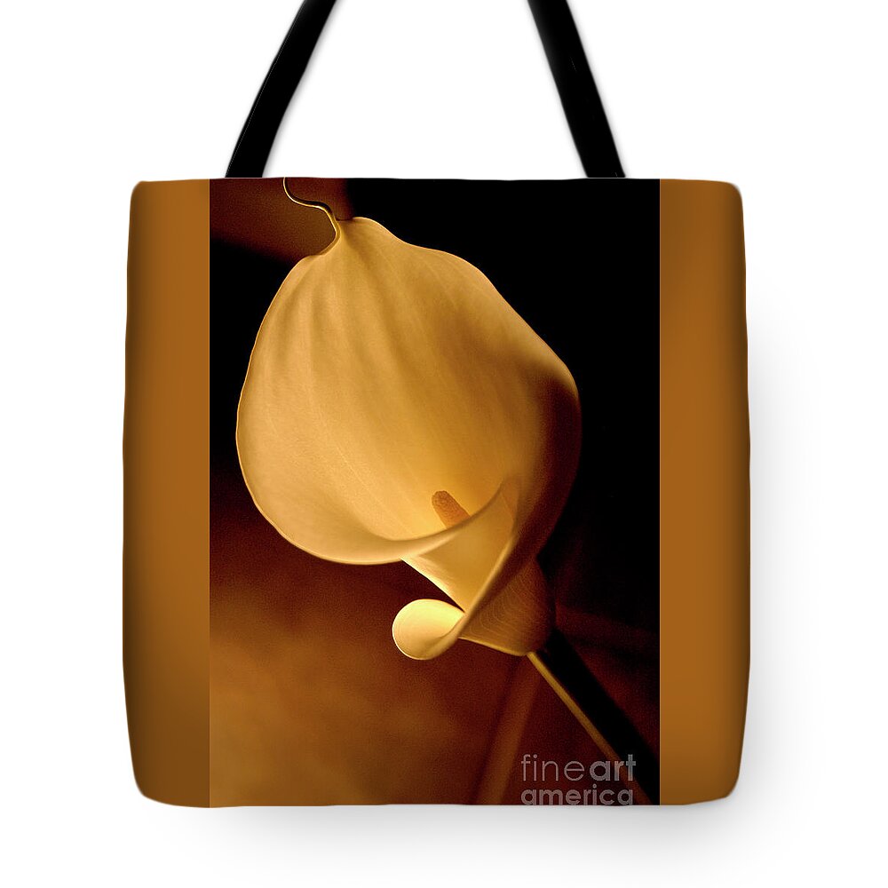 Calla Tote Bag featuring the photograph Lily Flower Backlit by Gunther Allen