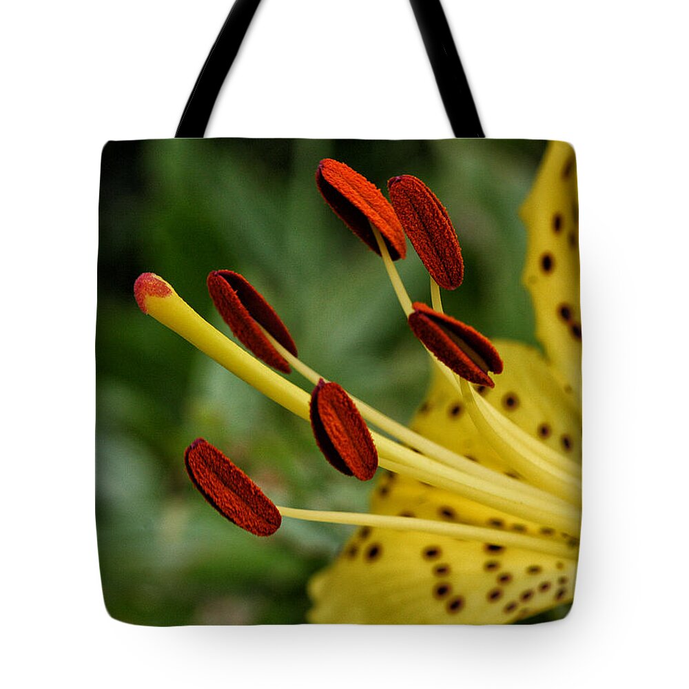 Flower Tote Bag featuring the photograph Lily Center by William Selander