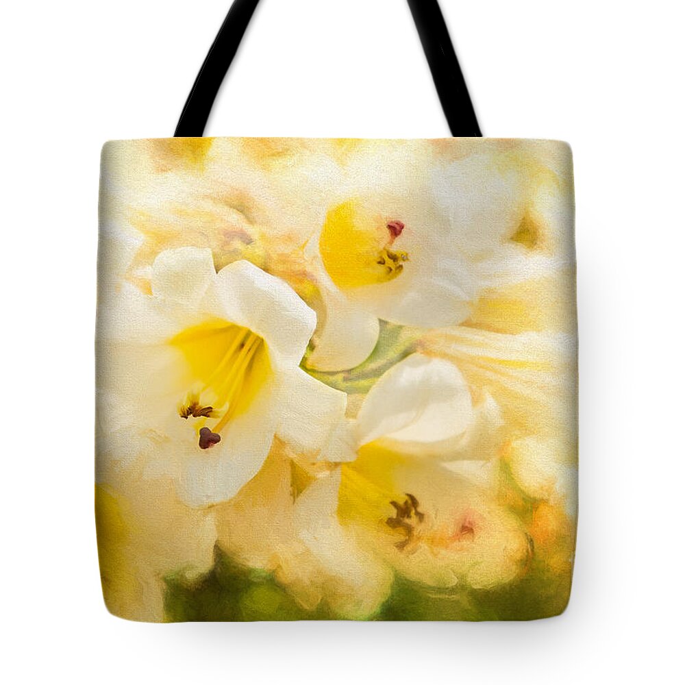 Gardens Tote Bag featuring the photograph Lily Fest by Marilyn Cornwell