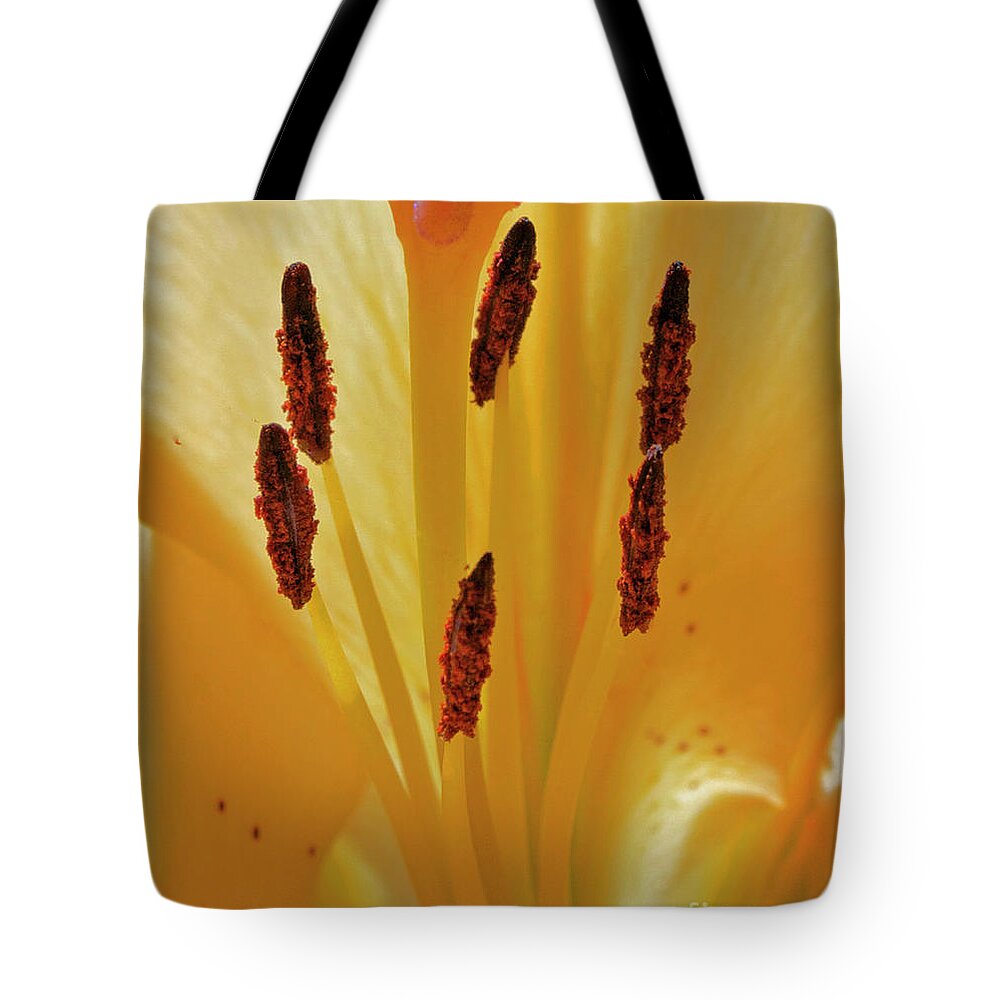 Lily Tote Bag featuring the photograph Lily Forest by Gwyn Newcombe
