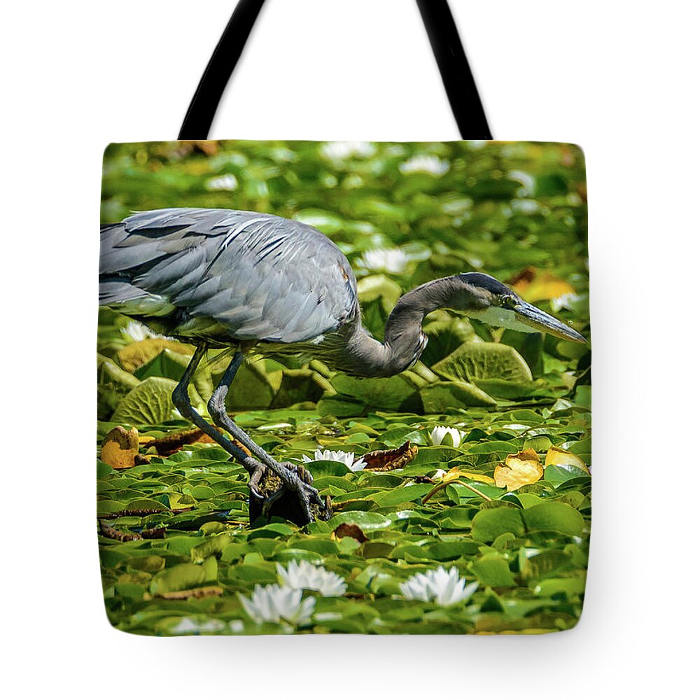 Blue Heron Tote Bag featuring the photograph Lily Heron by Jerry Cahill