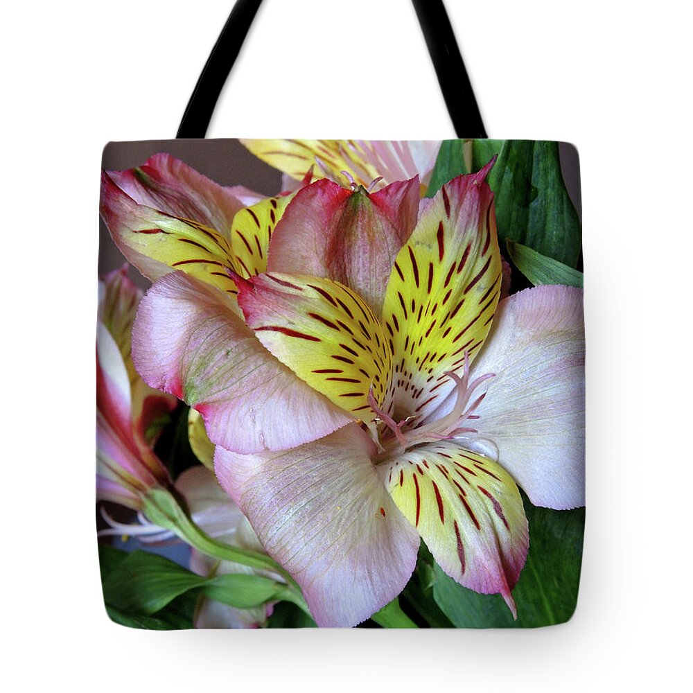 Lily Tote Bag featuring the photograph Lily in North Light by Lynda Lehmann