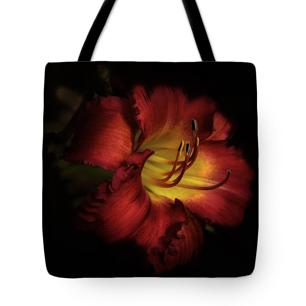 Lily In Red Tote Bag featuring the photograph Lily in Red by Julie Palencia