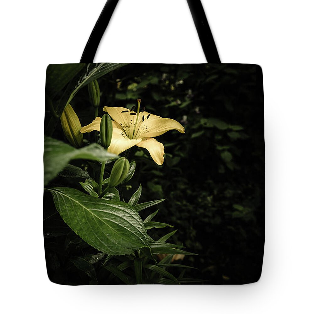 Lilies Tote Bag featuring the photograph Lily In The Garden Of Shadows by Marco Oliveira