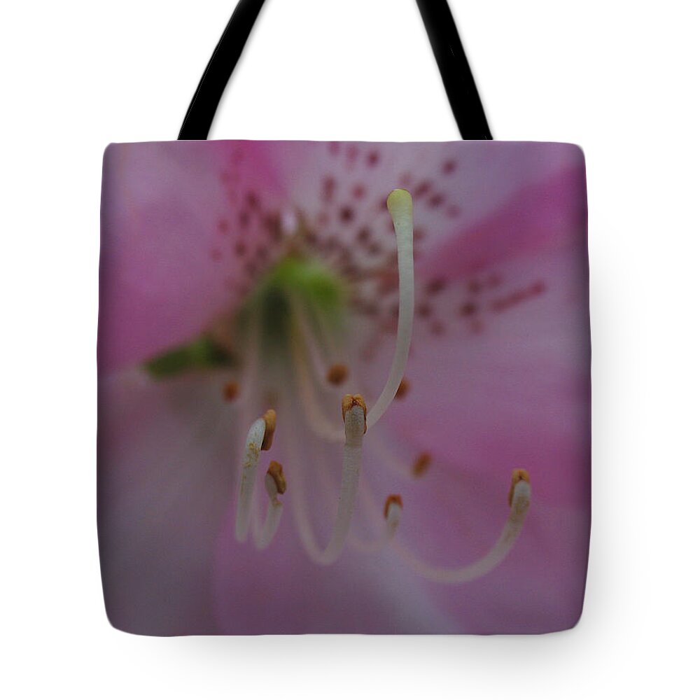Lily Tote Bag featuring the photograph Lily by Juergen Roth