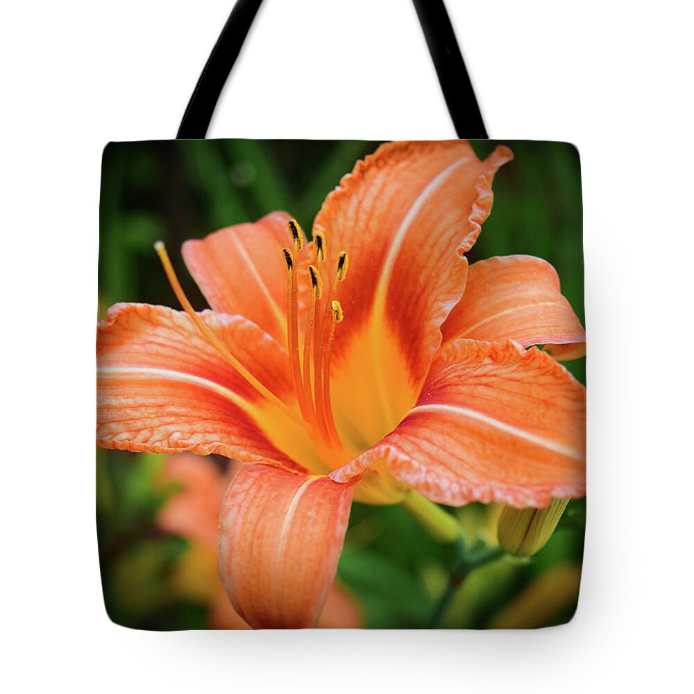 Flower Tote Bag featuring the photograph Lily by Nicole Lloyd