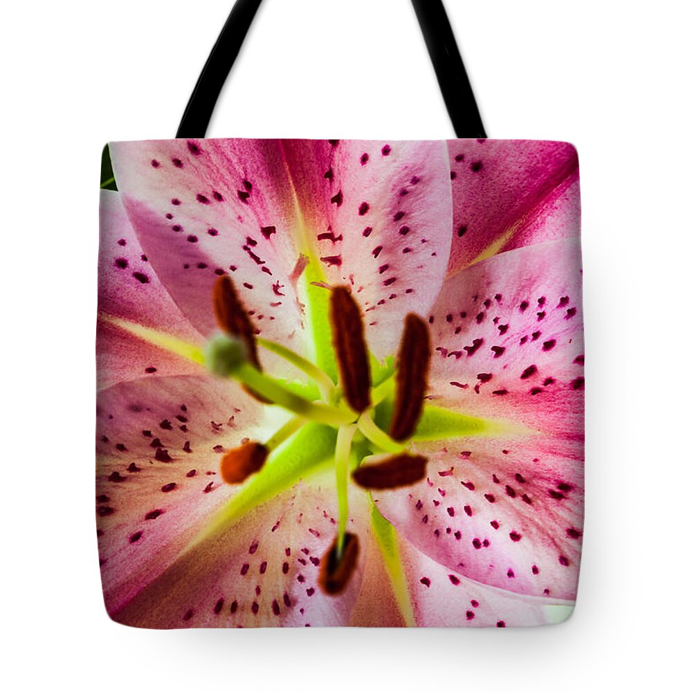 Bellingham Tote Bag featuring the photograph Lily of the Field by Judy Wright Lott