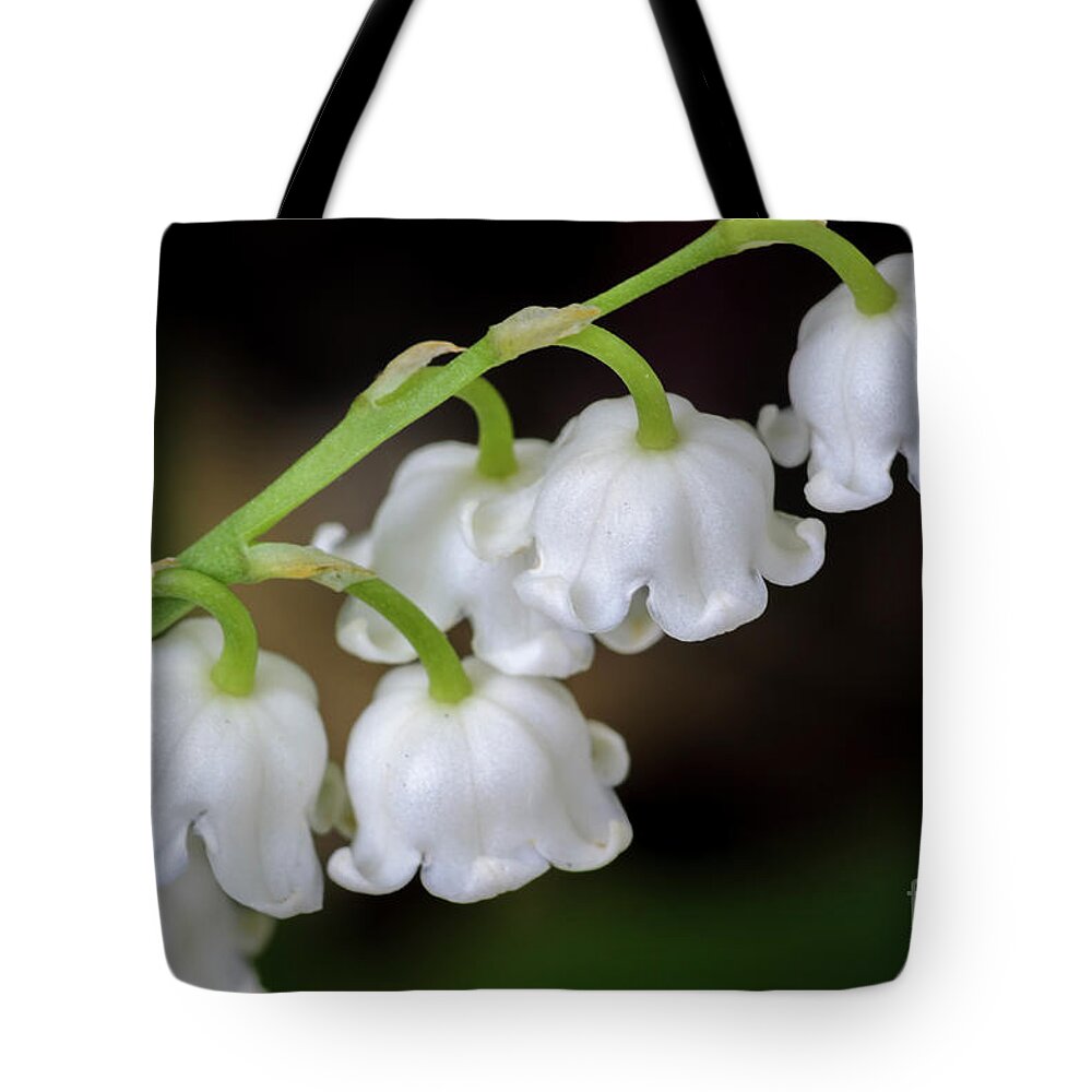 Lily Of The Valley Tote Bag featuring the photograph Lily Of The Valley Flowers by Tamara Becker