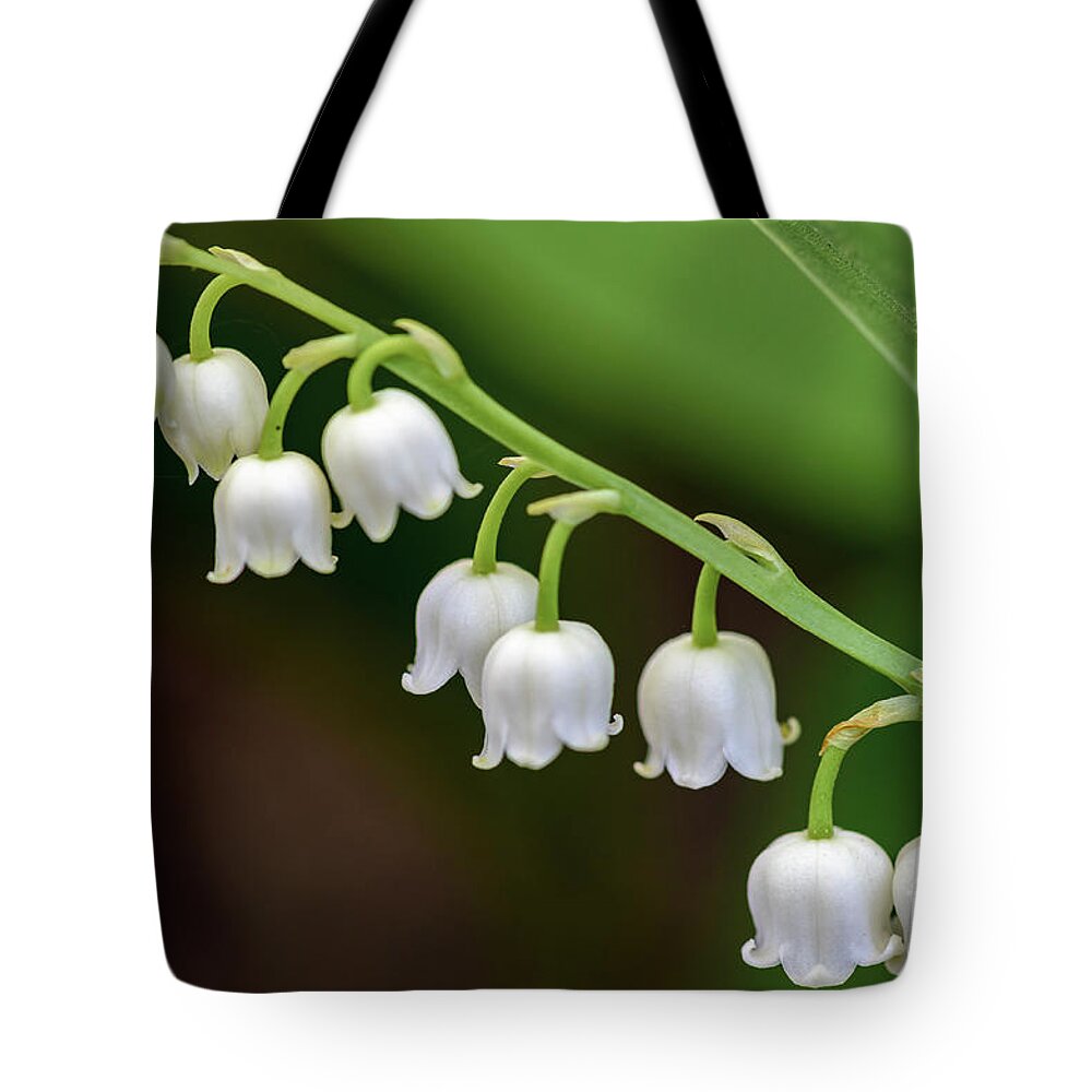 Lily Of The Valley Tote Bag featuring the photograph Lily Of The Valley II by Tamara Becker