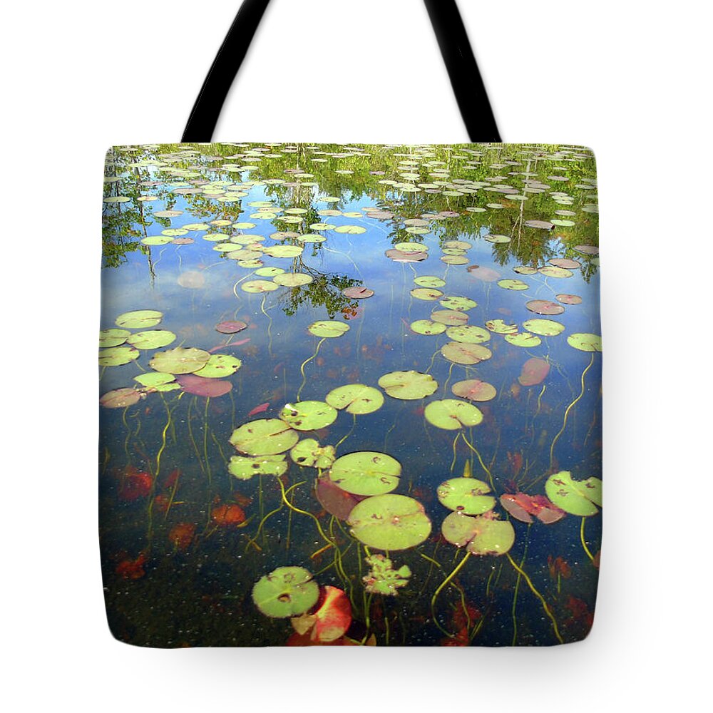 New Hampshire Tote Bag featuring the photograph Lily Pads and Reflections by Susan Lafleur