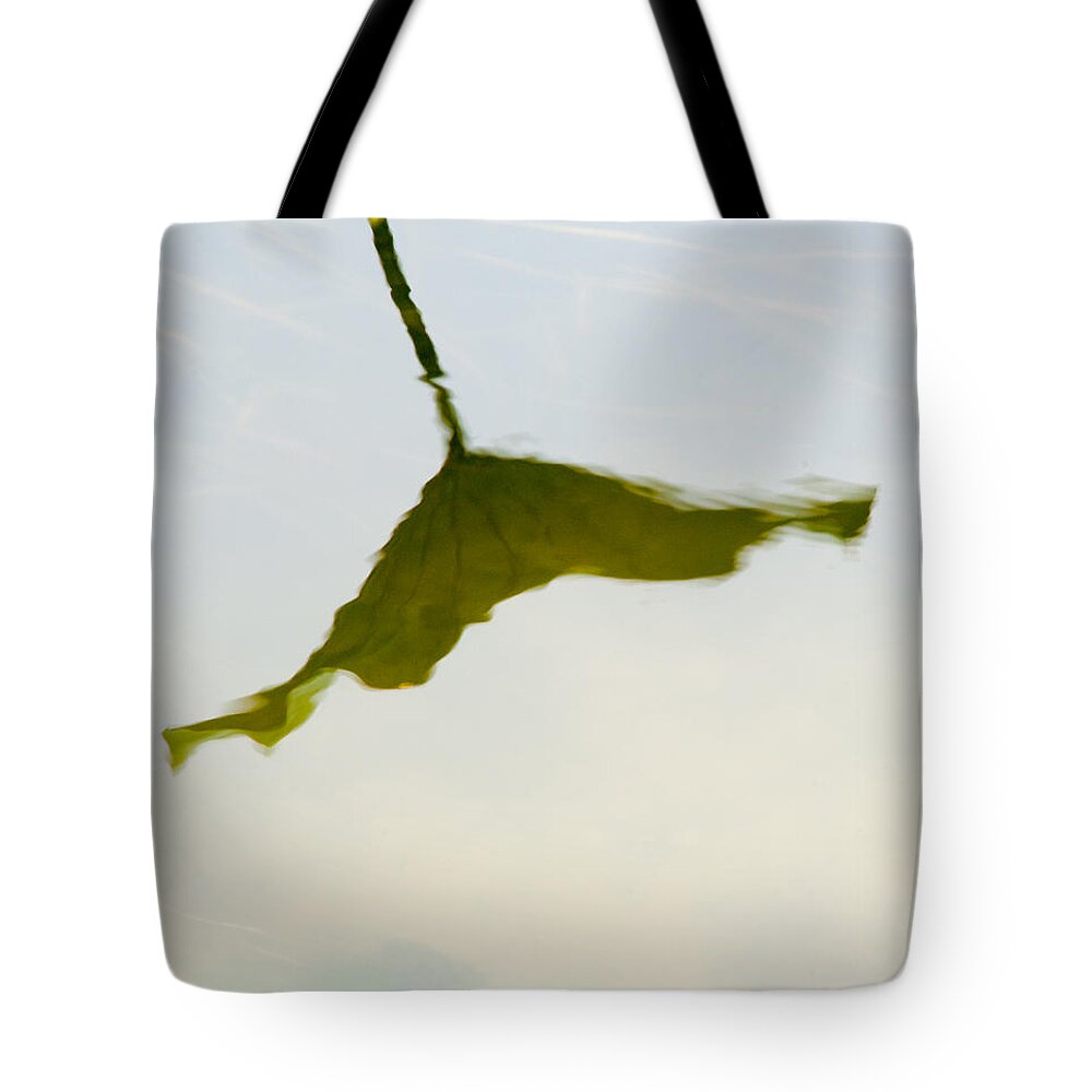 Lily Tote Bag featuring the photograph Lily pads reflection by Carolyn D'Alessandro