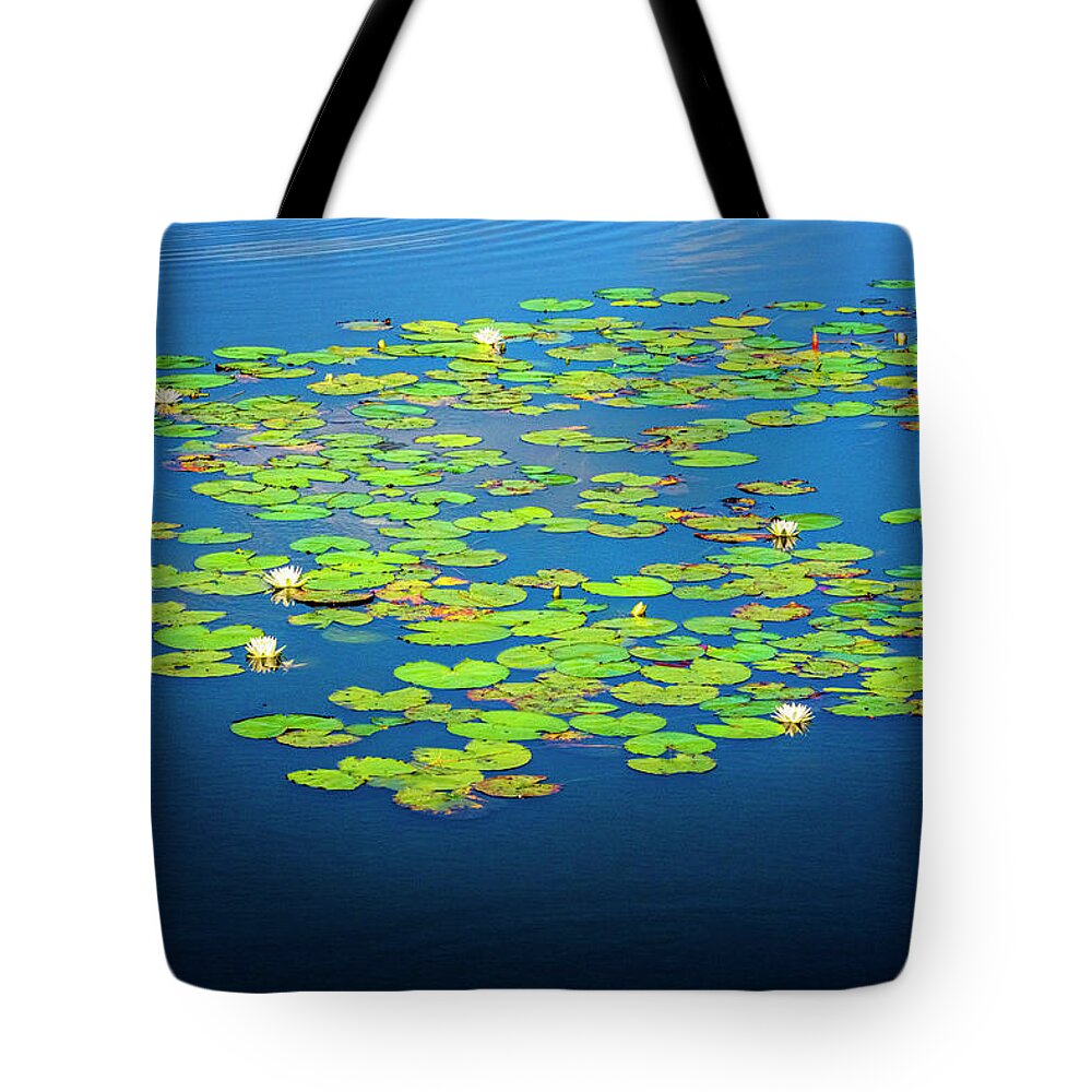 North Port Florida Tote Bag featuring the photograph Lily Pads by Tom Singleton