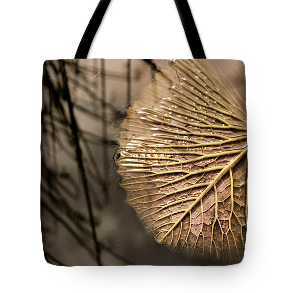 Lily Pad Tote Bag featuring the photograph Lily Pond Zen by Jessica Jenney