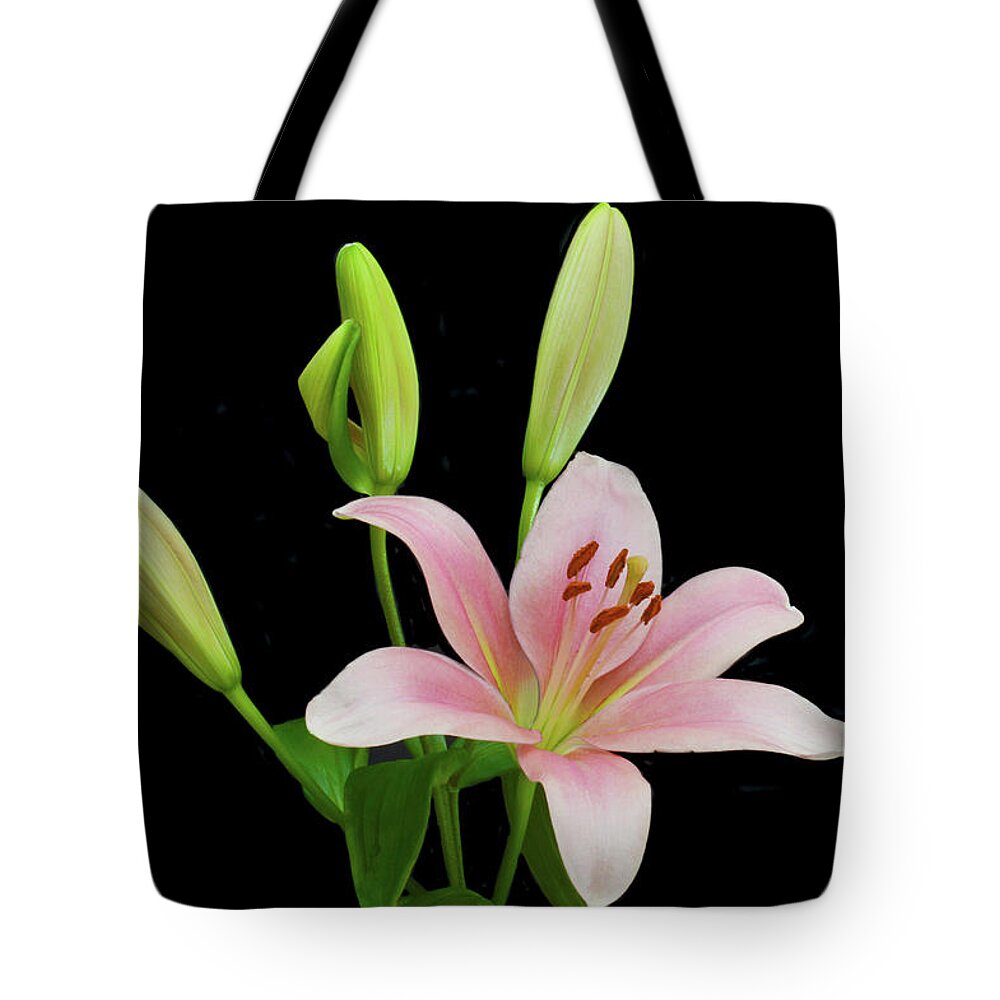 Floral Portraits Tote Bag featuring the photograph Lily The Pink by Terence Davis