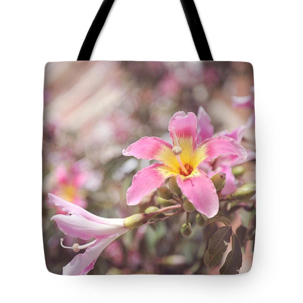 Pink Flowers Tote Bag featuring the photograph Lily Tree. Flowers of Malaga by Jenny Rainbow