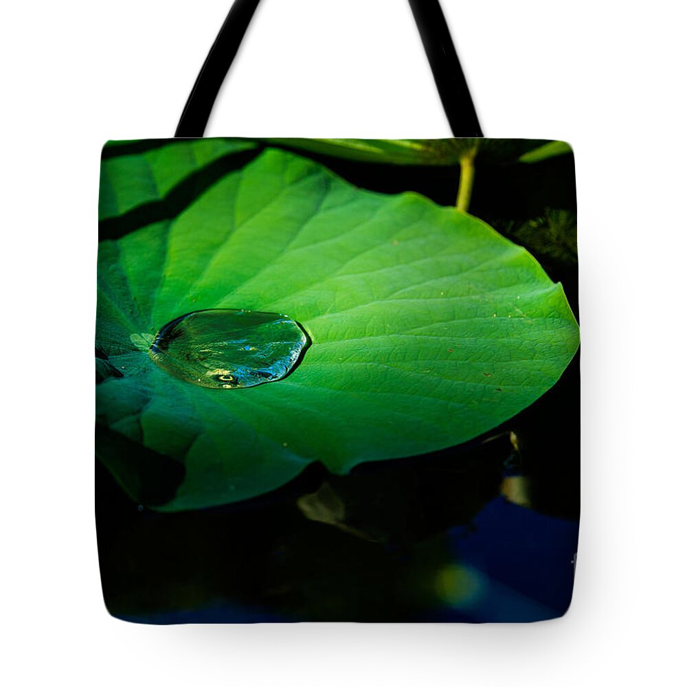 Landscape Tote Bag featuring the photograph Lily Water by Metaphor Photo