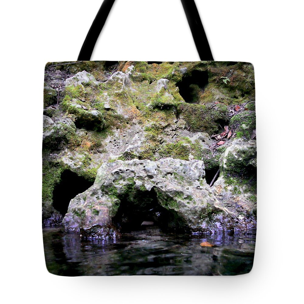 Limestone Tote Bag featuring the photograph Limestone Arch by Julie Pappas