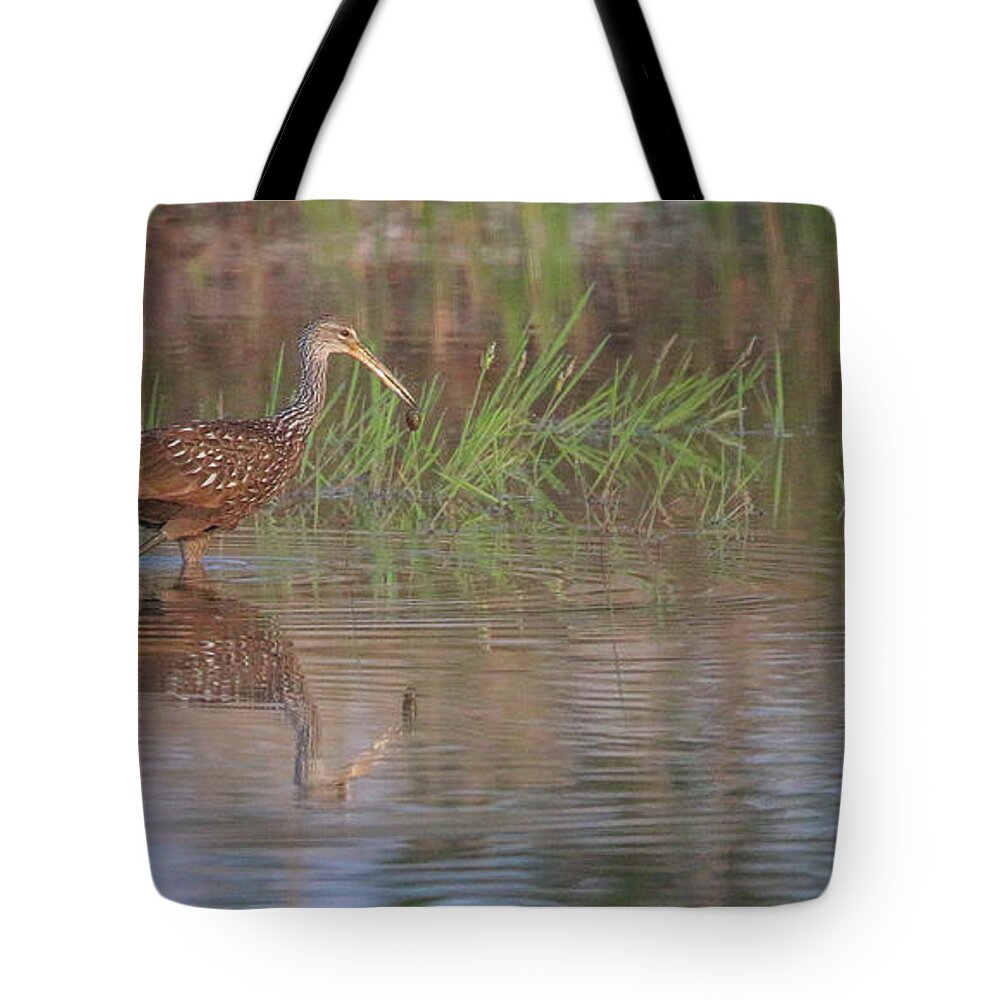 Limpkin Tote Bag featuring the photograph Limpkin and Snail Reflection by Tom Claud