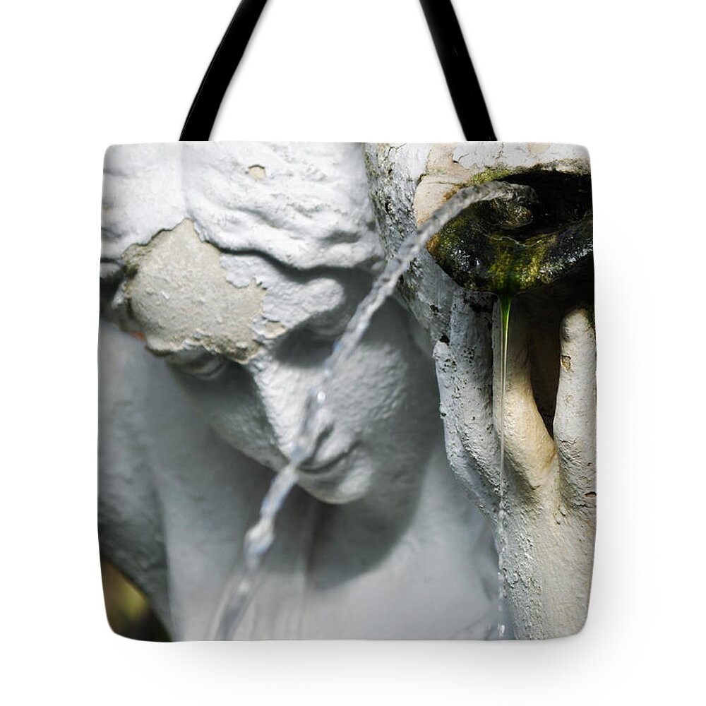 Lincoln Park Conservatory Tote Bag featuring the photograph Lincoln Park Conservatory Fountain by Kyle Hanson