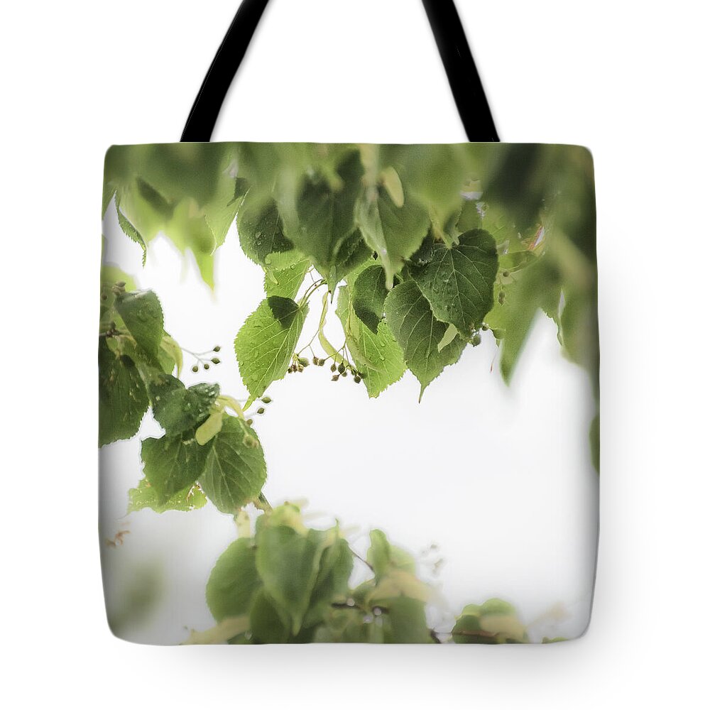 Linden Leaves Tote Bag featuring the photograph Linden in the Rain 2 - by Julie Weber