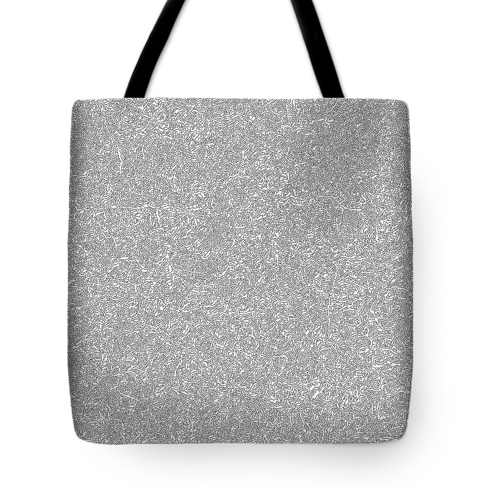  Tote Bag featuring the painting Line Composition 2 by Steve Fields