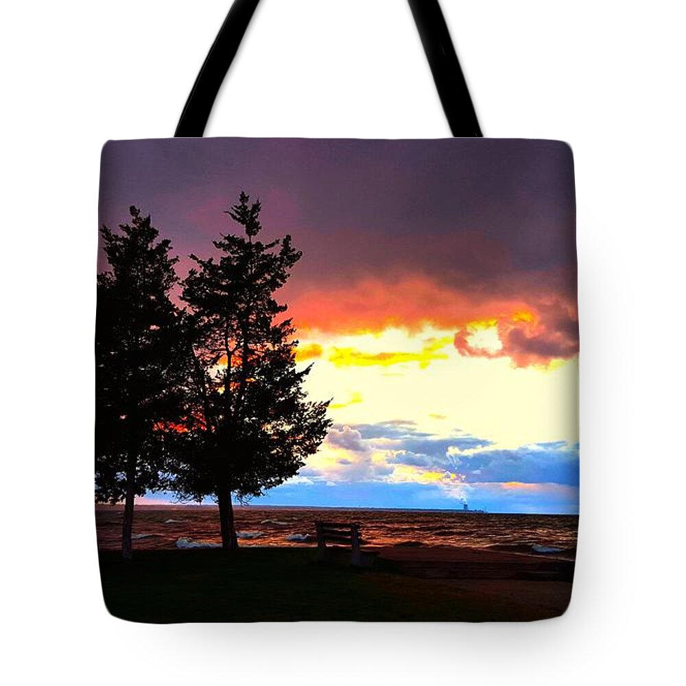 Lake Tote Bag featuring the photograph Lingering Light by Dani McEvoy