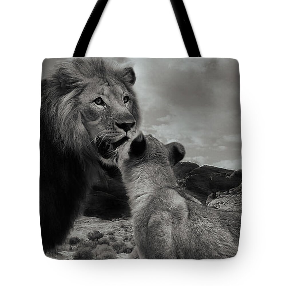 Lions Tote Bag featuring the photograph Lion family Panorama by Christine Sponchia