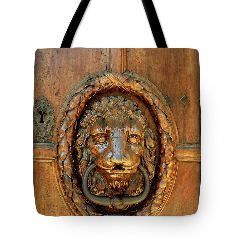 Lion Tote Bag featuring the photograph Lion Of Aix by Shaun Higson