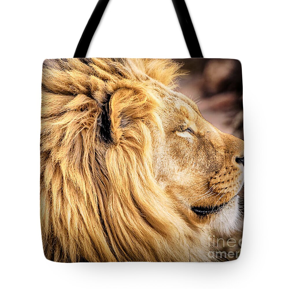 Lion Tote Bag featuring the photograph Lion Profile by David Millenheft