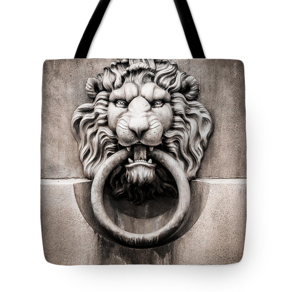 New Tote Bag featuring the photograph Lion Ring by Perry Webster